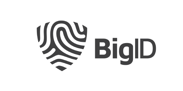 Logo BigID