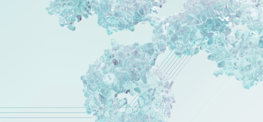 veraxa Referenz