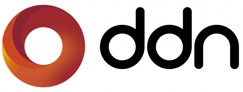 Logo DDN